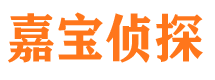 濠江市调查公司